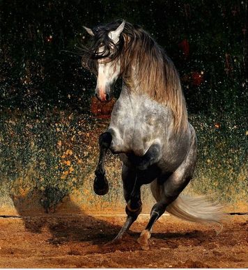 Похожее изображение